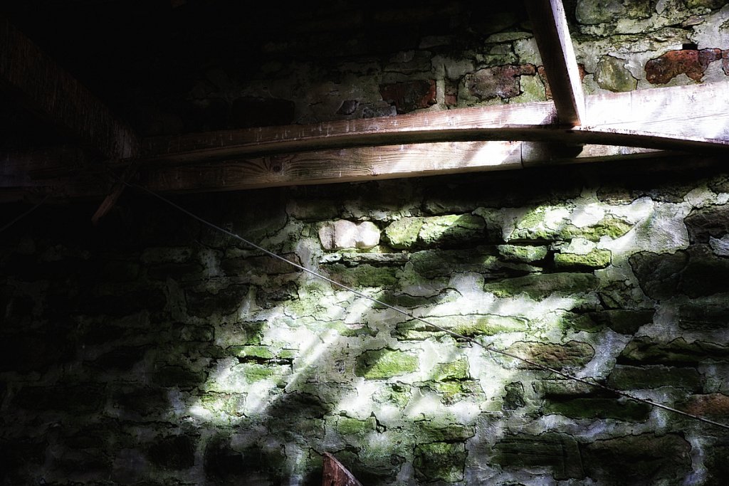 Light in the Byre